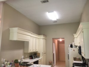 IMG_1159